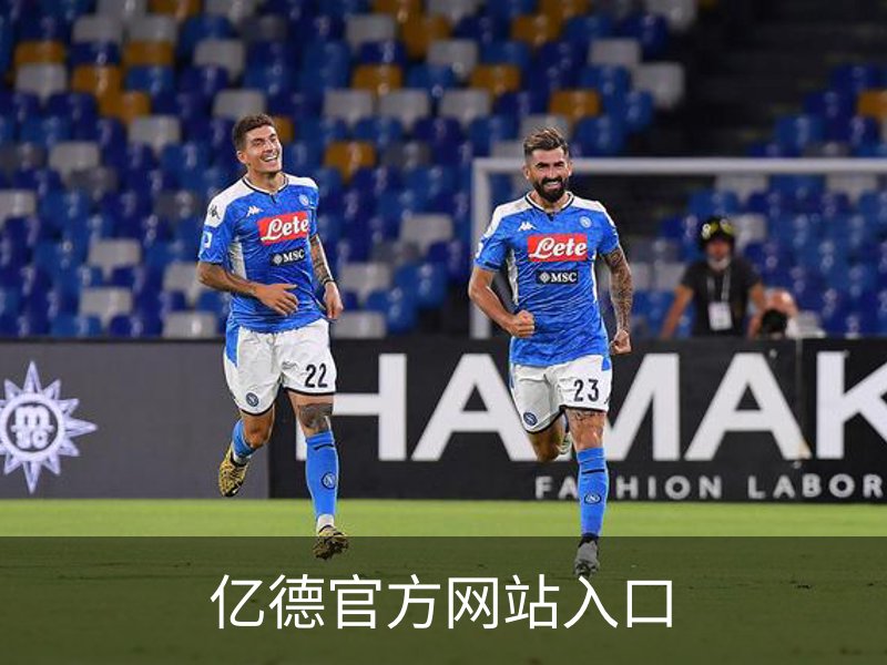 亿德官方网站入口概况